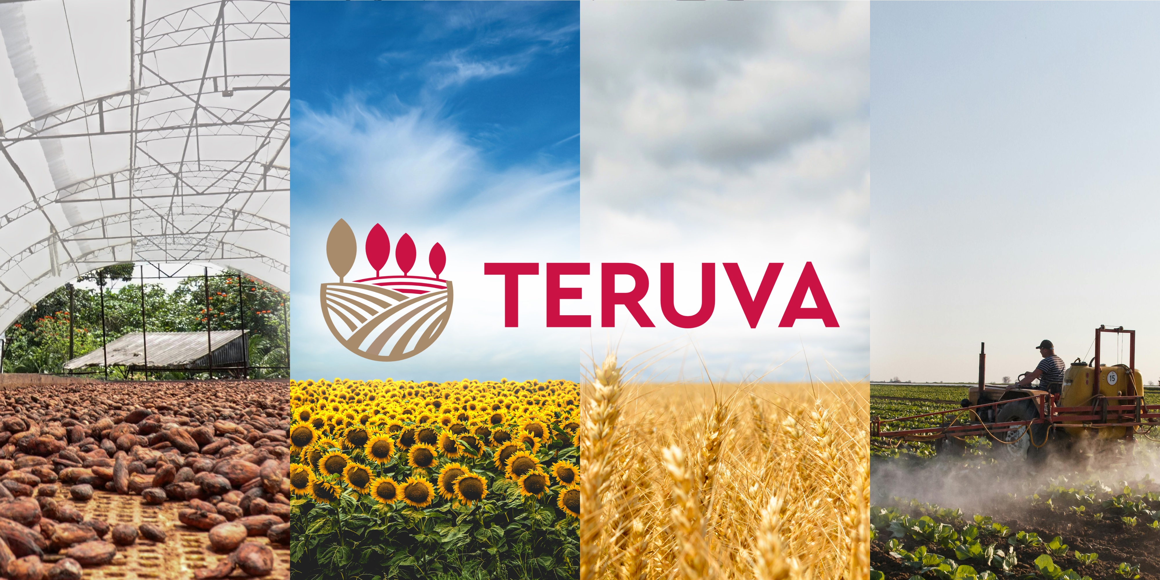 About TERUVA FZCO DMCC